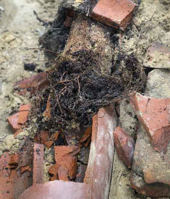 drain cleaning in Miami Beach, FL